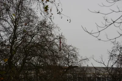 DSC_5756 (Large).JPG